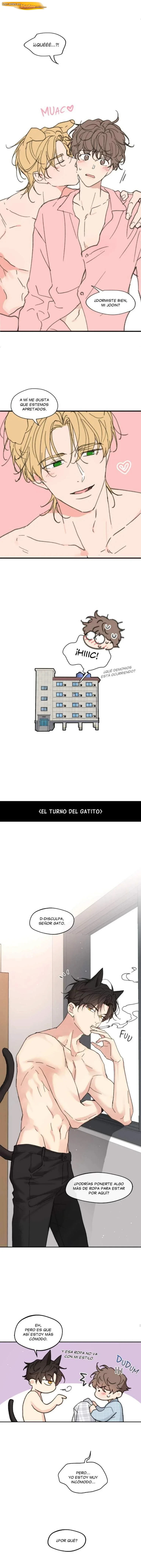 Aventuras de Jooin Capítulo 85.5 - página 3