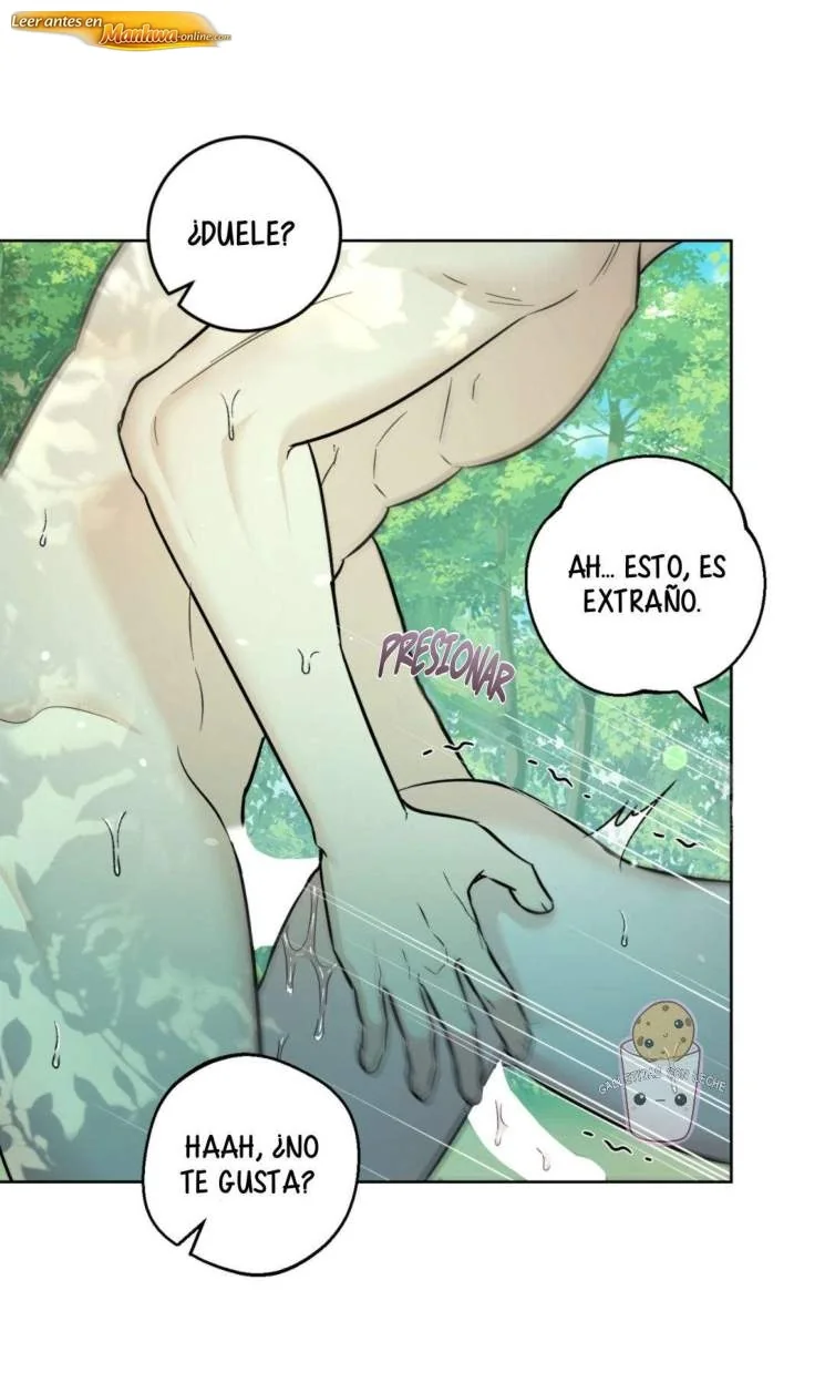 Bosque apacible Capítulo 27 - página 8