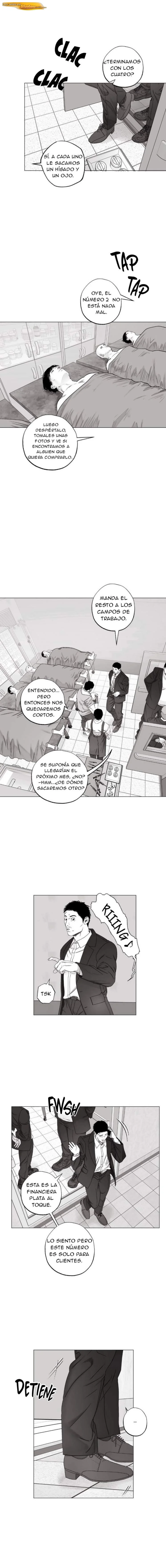 Campeón Indomable Capítulo 40 Extra 15 - página 3