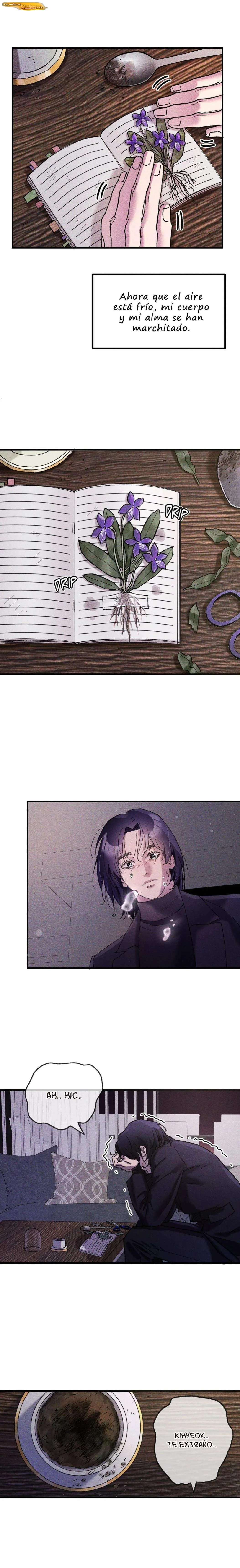 Cuando Florecen las violetas Capítulo 03 - página 9