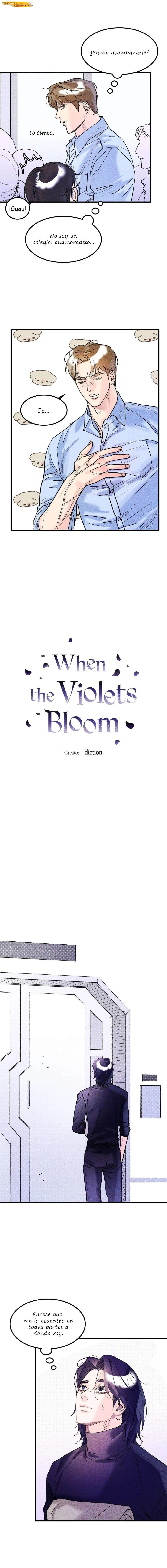 Cuando Florecen las violetas Capítulo 08 - página 5