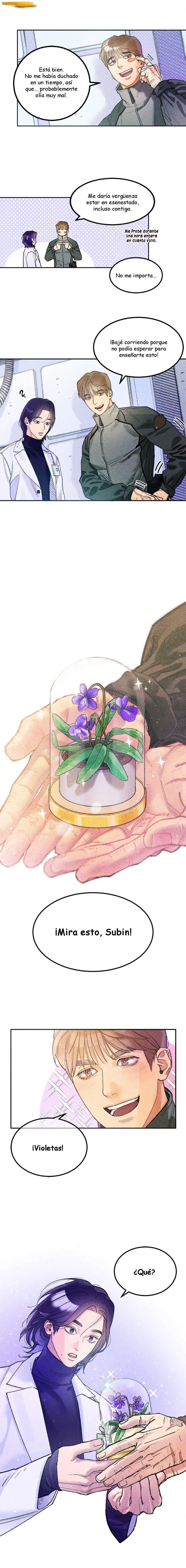 Cuando Florecen las violetas Capítulo 01 - página 10