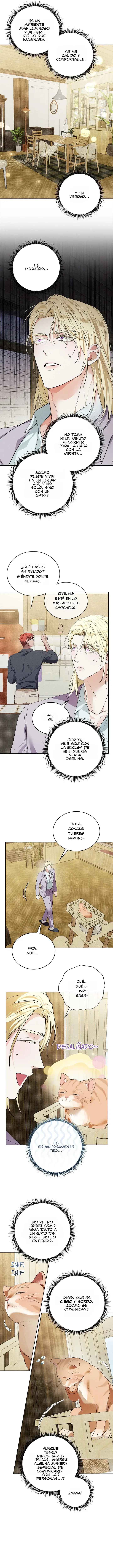 Desire Me If You Can Capítulo 30 - página 5