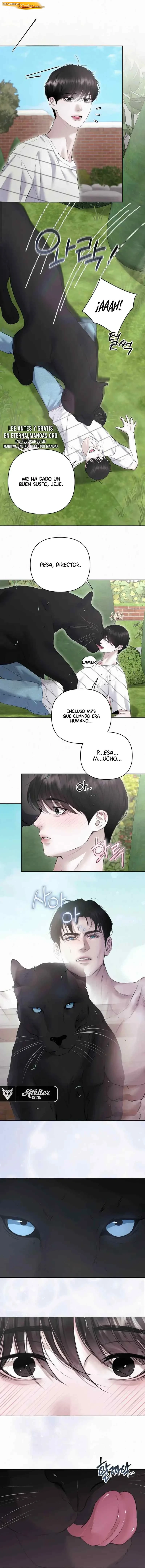 Diamond Dust Capítulo 27.6 Especial - página 8