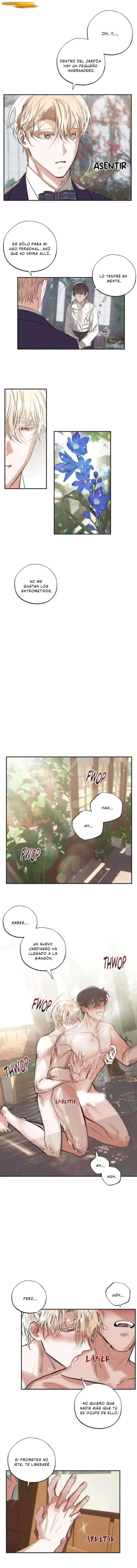 El Jardín de Esther Capítulo 02 - página 6