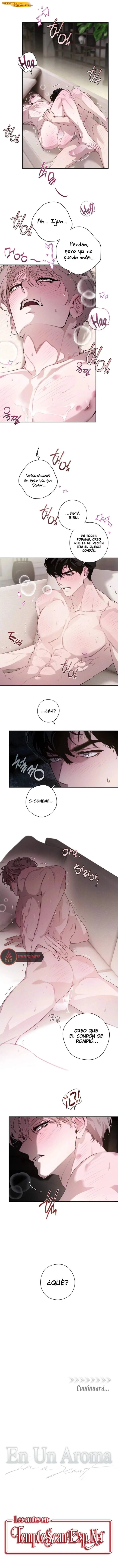 En un Aroma Capítulo 14 - página 9