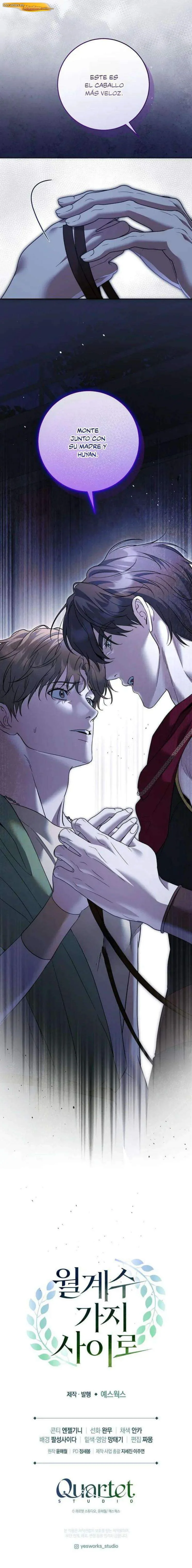 Entre ramas de laurel Capítulo 14 - página 15