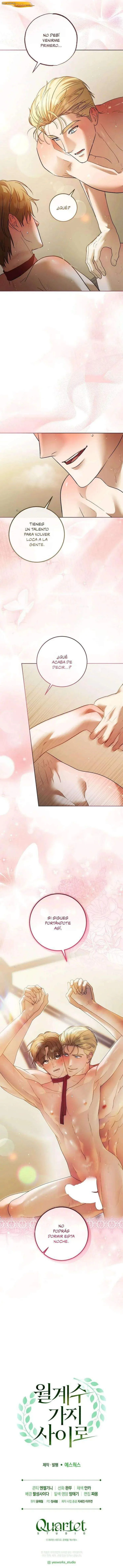 Entre ramas de laurel Capítulo 19 - página 13