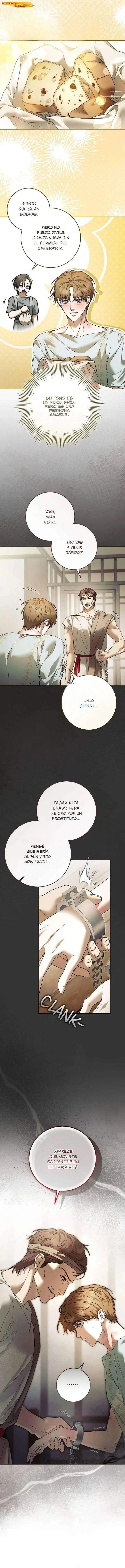 Entre ramas de laurel Capítulo 20 - página 8