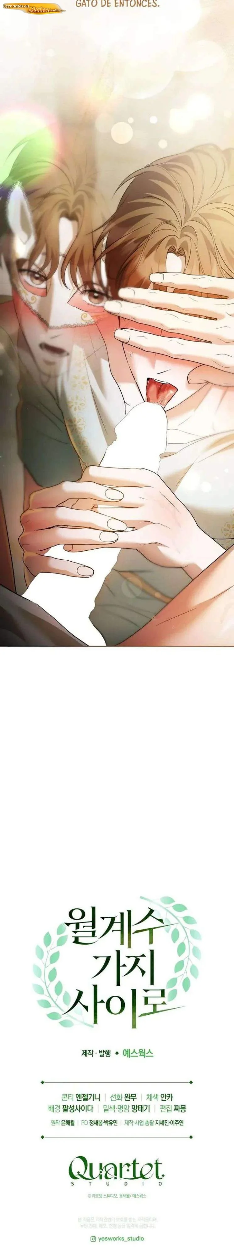Entre ramas de laurel Capítulo 21 - página 16
