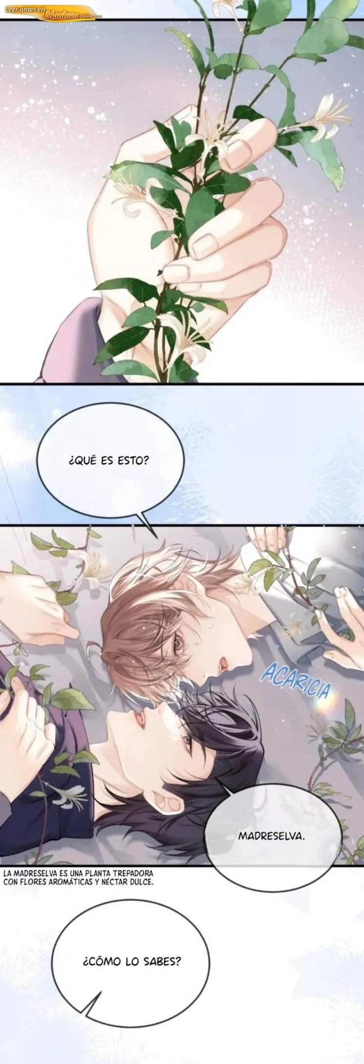 Fanservice Paradox Capítulo 41 - página 6