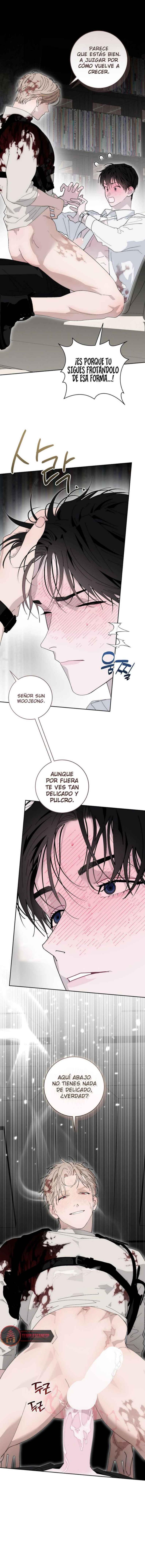 Guía para una predicción correcta Capítulo 07 - página 7