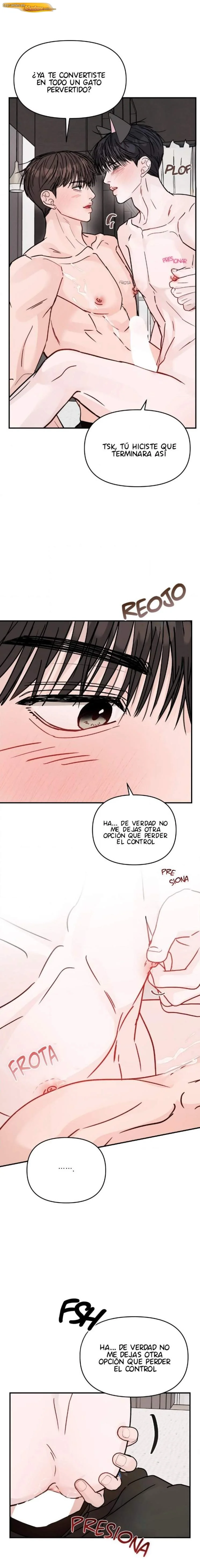 Inseparables Capítulo 68 - página 14