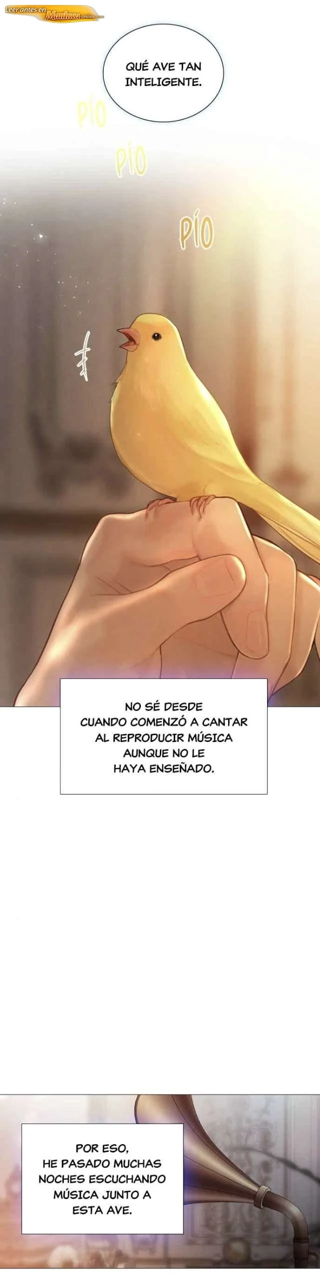 Llora o mejor aún suplica Capítulo 84 - página 31