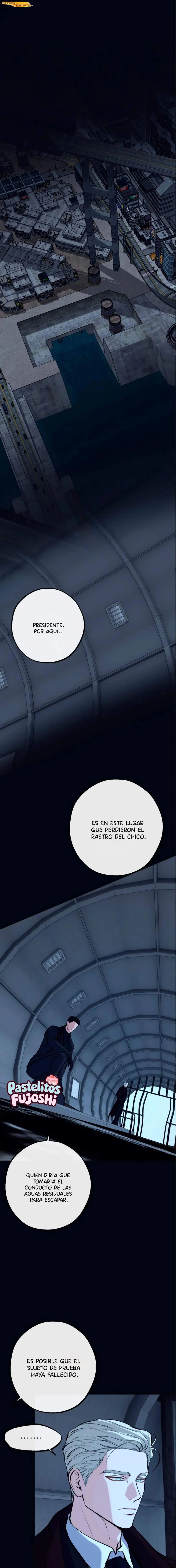 Luz del Amanecer Capítulo 41 - página 8
