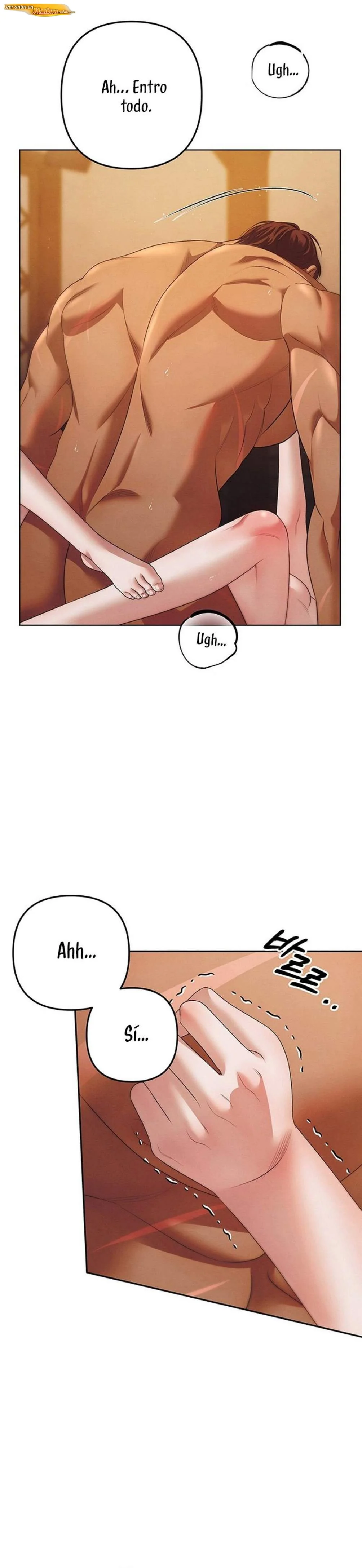 Matrimonio depredador Capítulo 04 - página 4