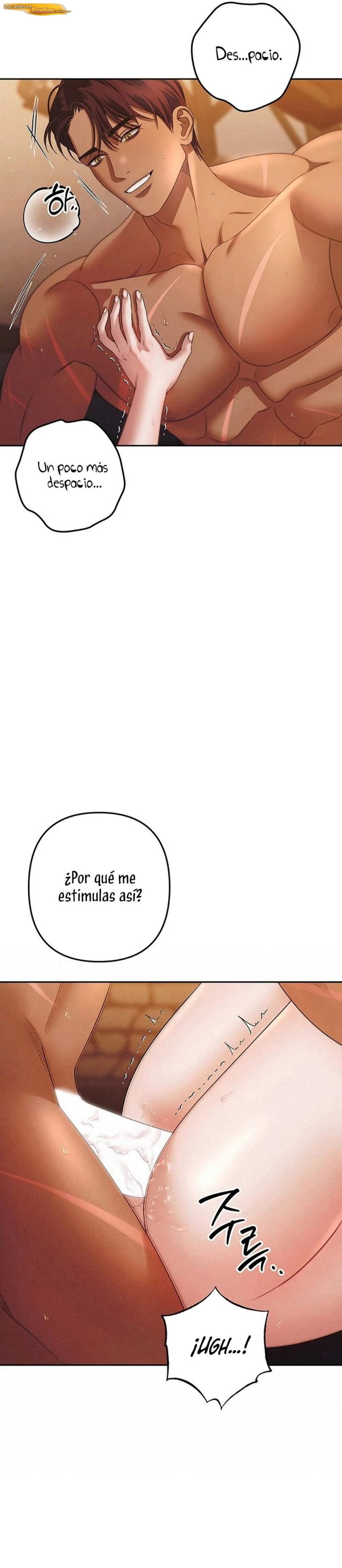 Matrimonio depredador Capítulo 04 - página 19