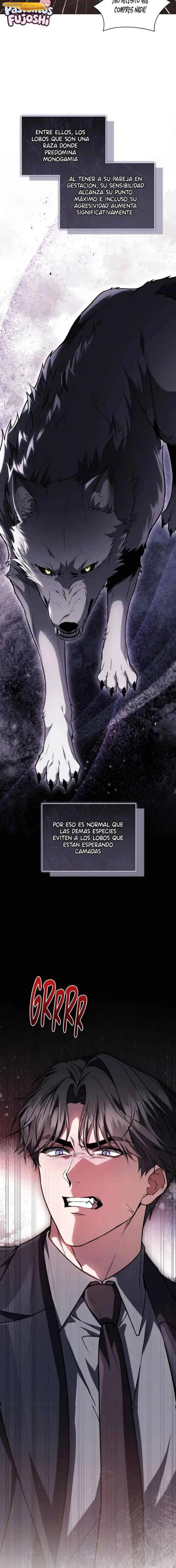 Garritas al ataque Capítulo 79 Extra 24 - página 12