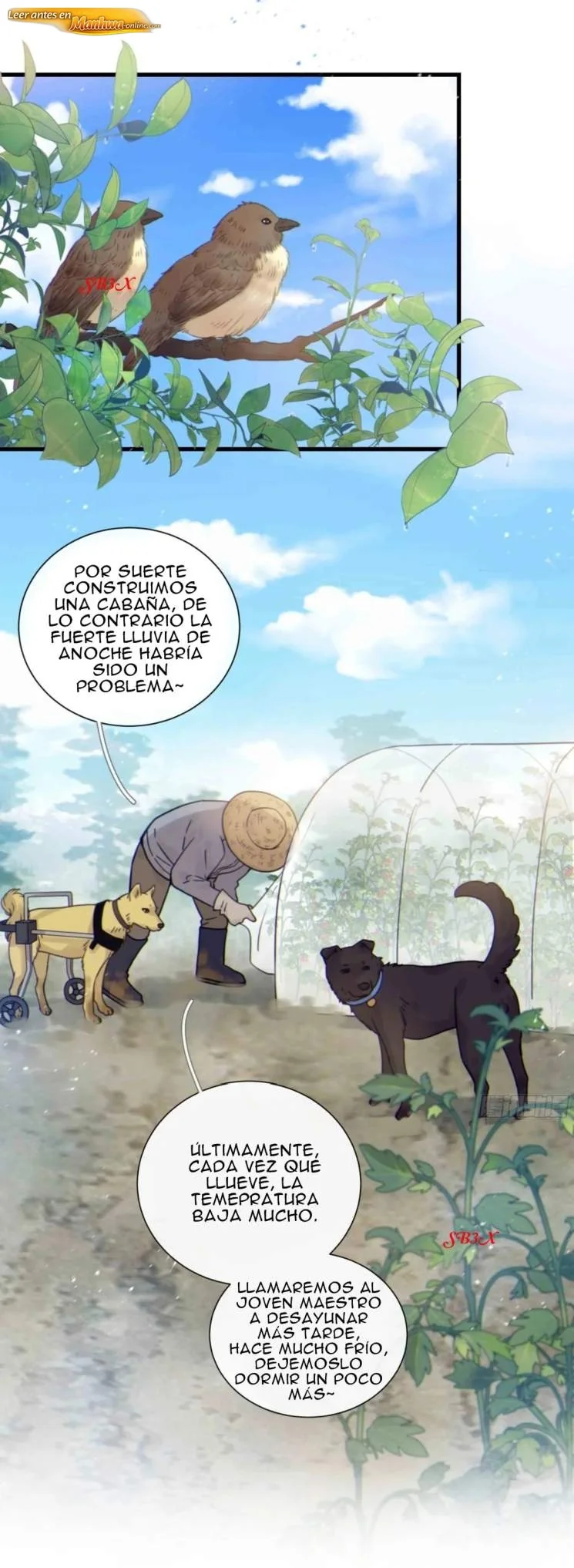 Noche estrellada Capítulo 52 - página 27