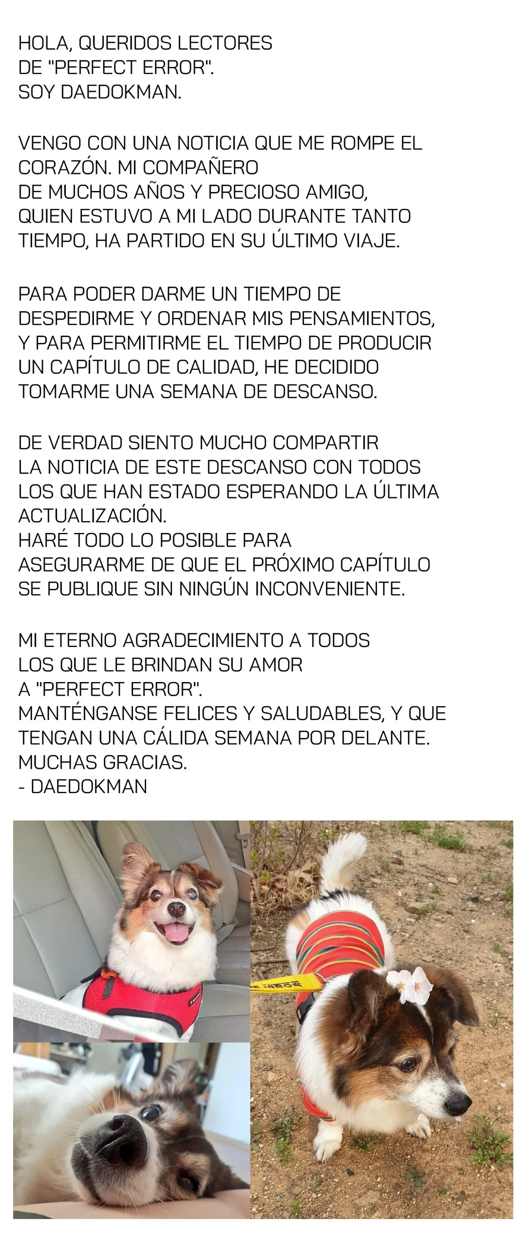 Perfect Error Capítulo 15.5 Aviso - página 2