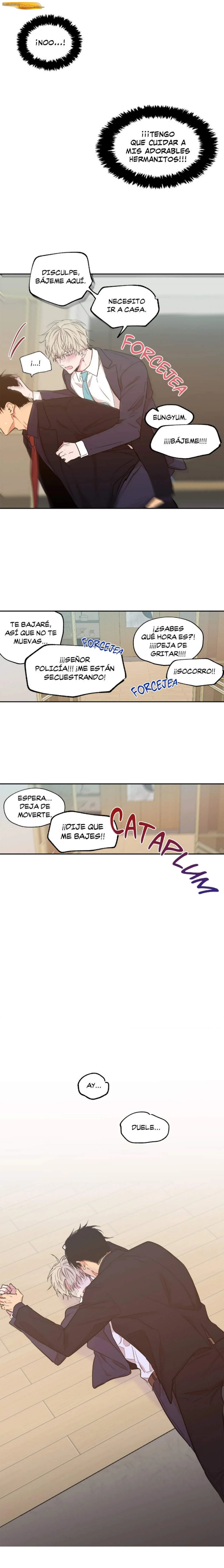 Prohibido Enamorarse Capítulo 14 - página 10
