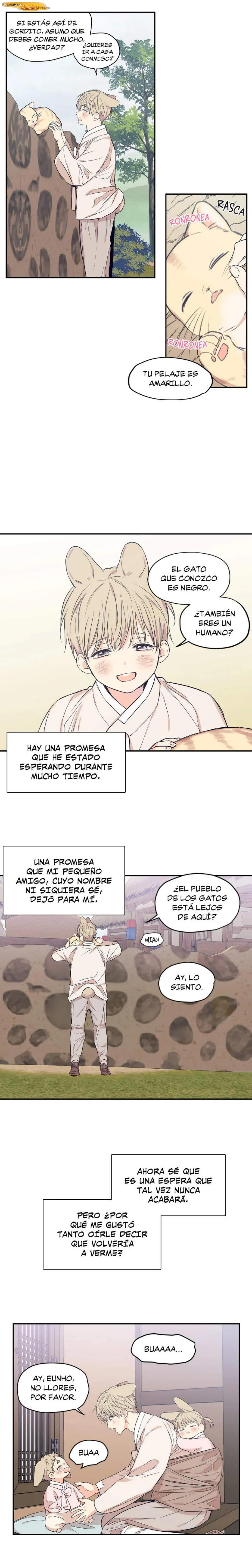 Prohibido Enamorarse Capítulo 77 - página 3