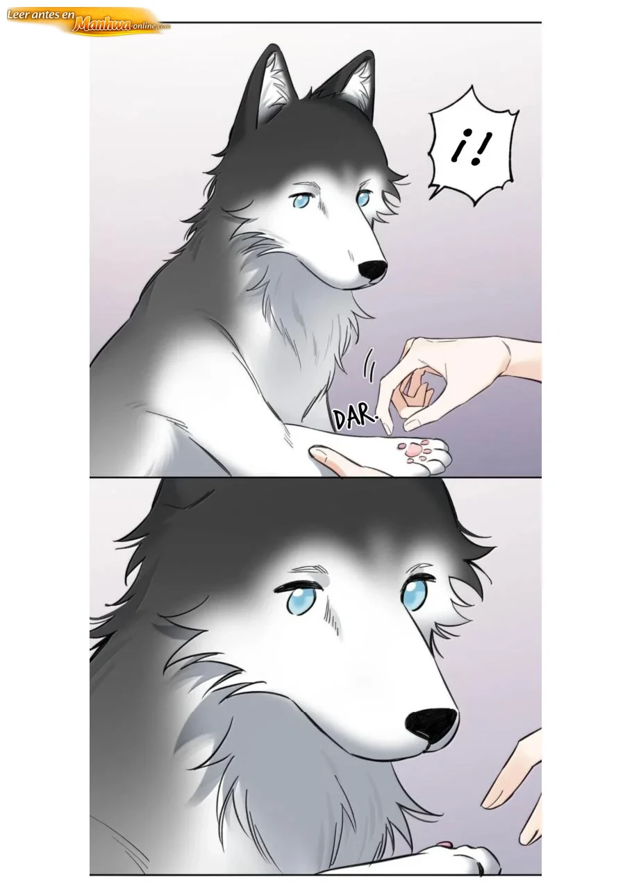 Reclamado por un lobo Capítulo 58 - página 25