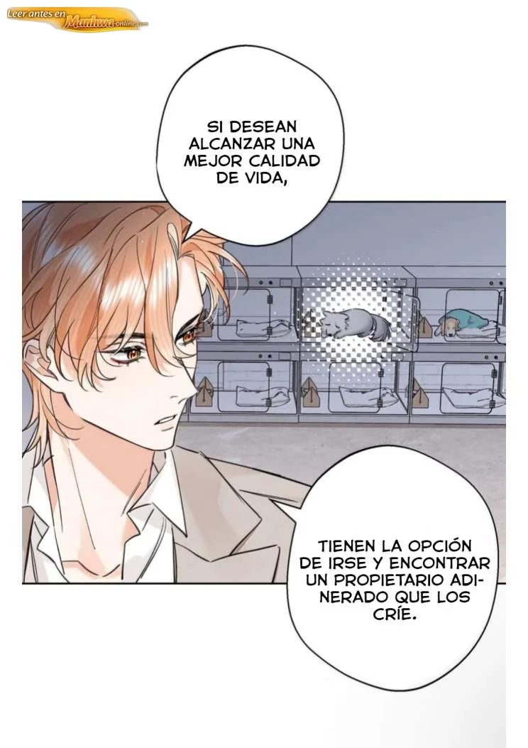 Reclamado por un lobo Capítulo 62 - página 19