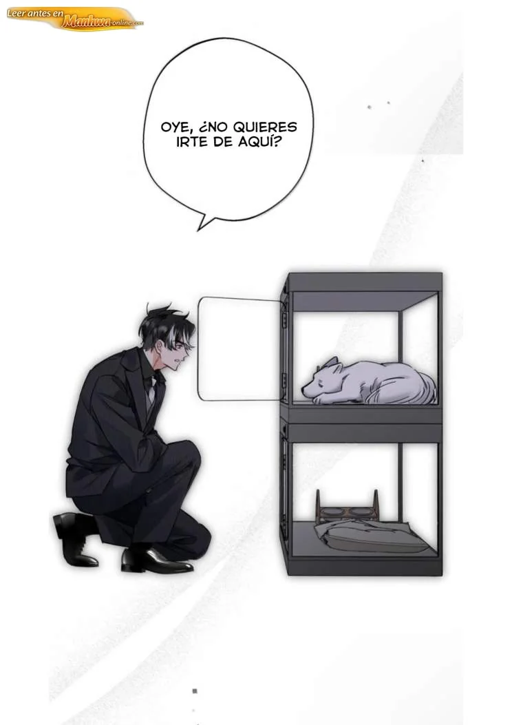 Reclamado por un lobo Capítulo 62 - página 21