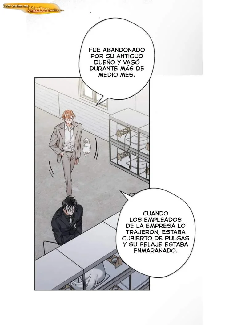 Reclamado por un lobo Capítulo 62 - página 22