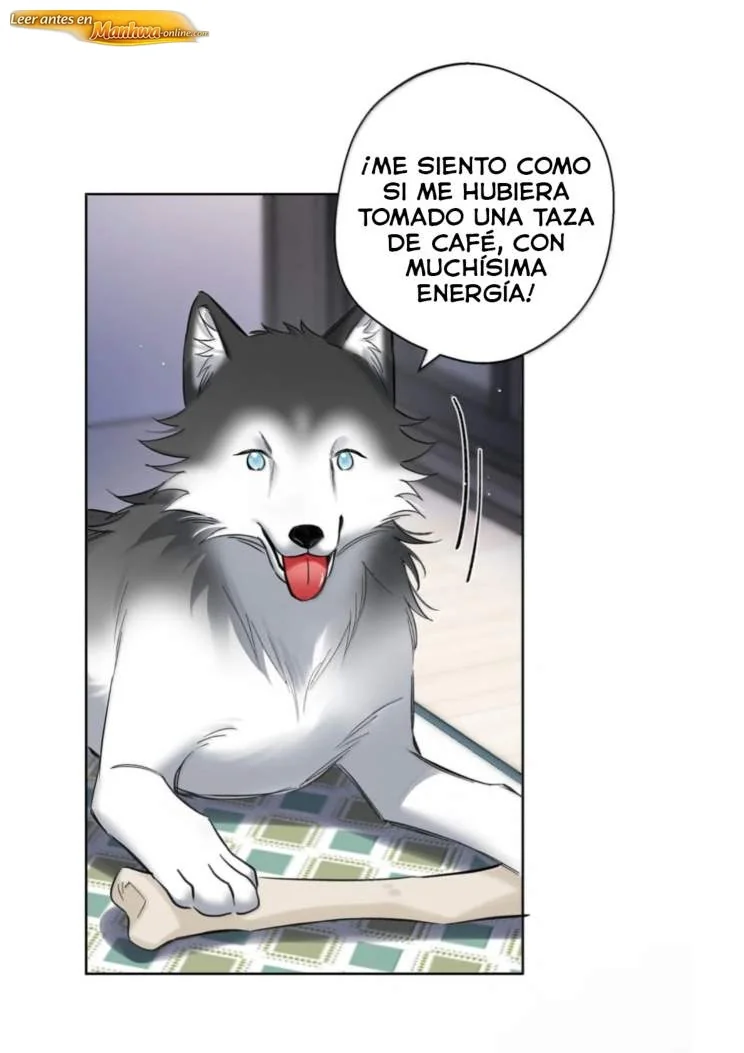 Reclamado por un lobo Capítulo 64 - página 16