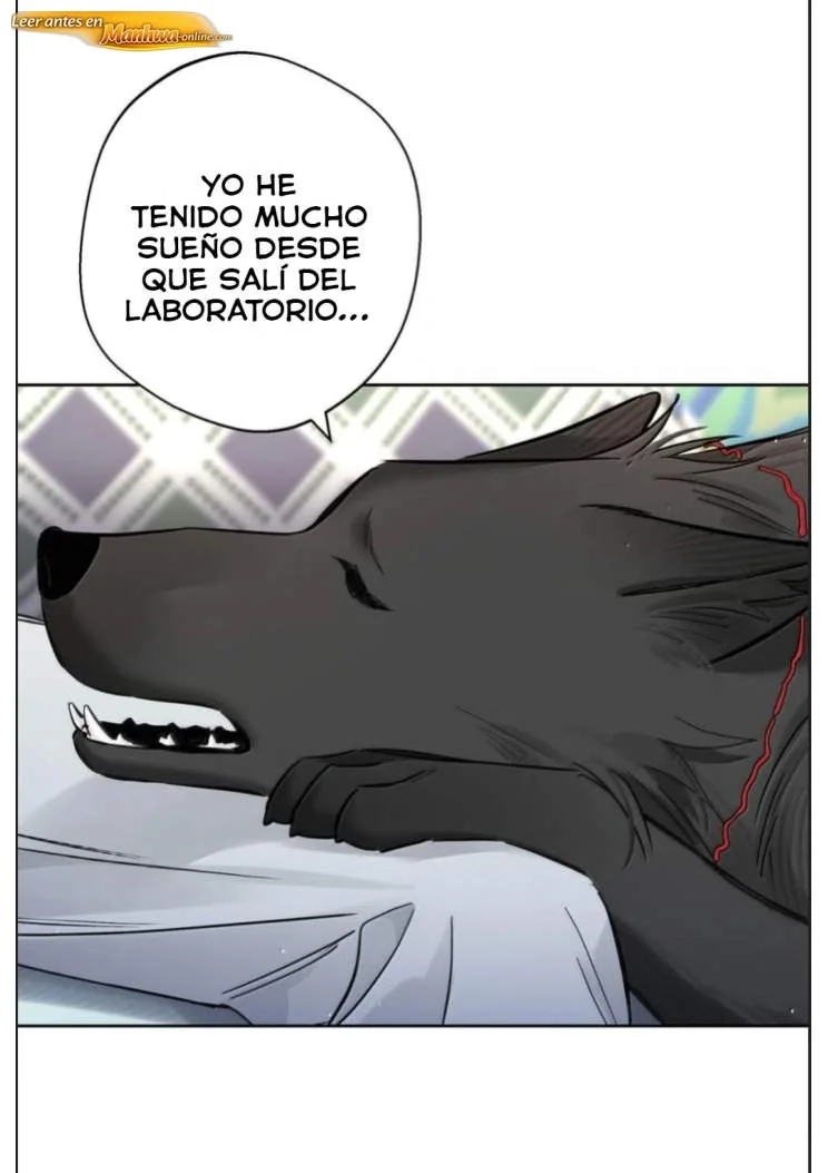 Reclamado por un lobo Capítulo 64 - página 17
