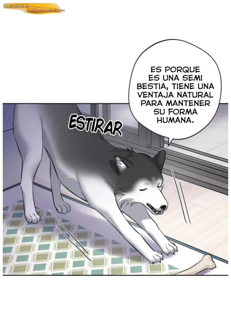 Reclamado por un lobo Capítulo 64 - página 19