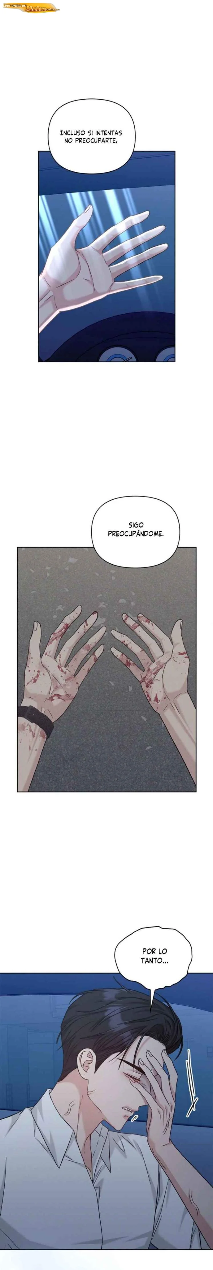 Réplica opuesta Capítulo 51 - página 11
