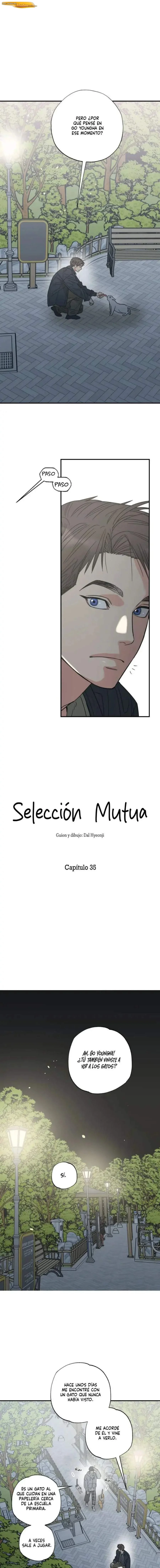 Selección Gatural Capítulo 35 - página 3