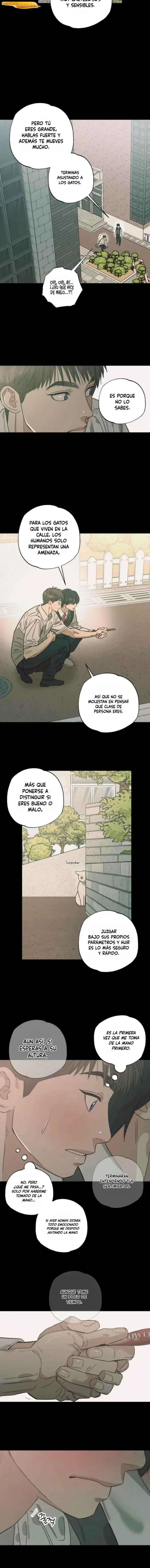 Selección Gatural Capítulo 34 - página 10