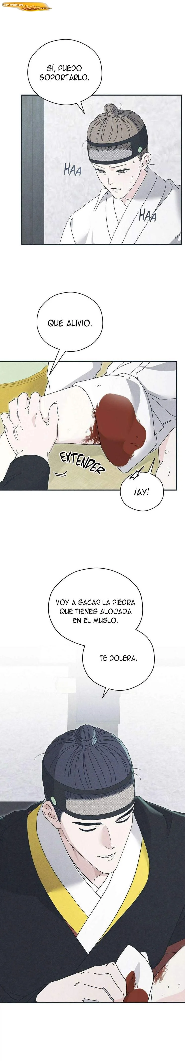 Significado de las flores de Pino blanco Capítulo 06 - página 13