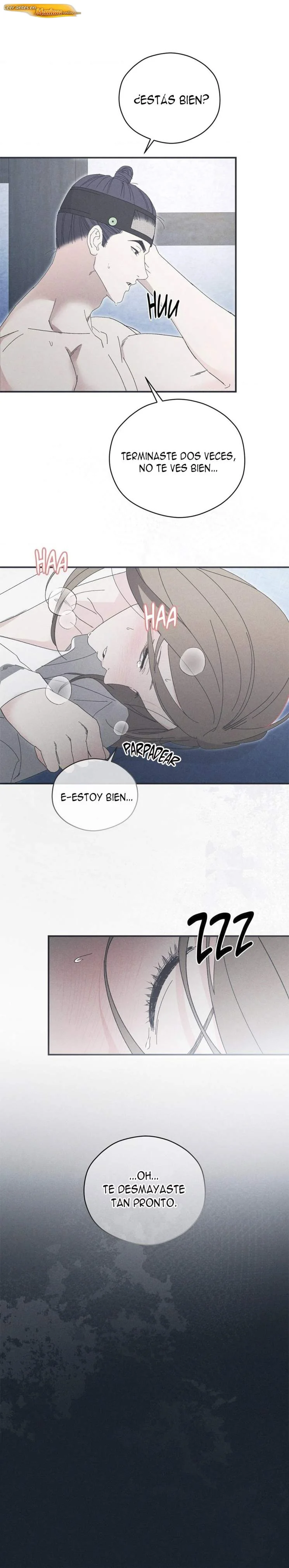 Significado de las flores de Pino blanco Capítulo 14 - página 16