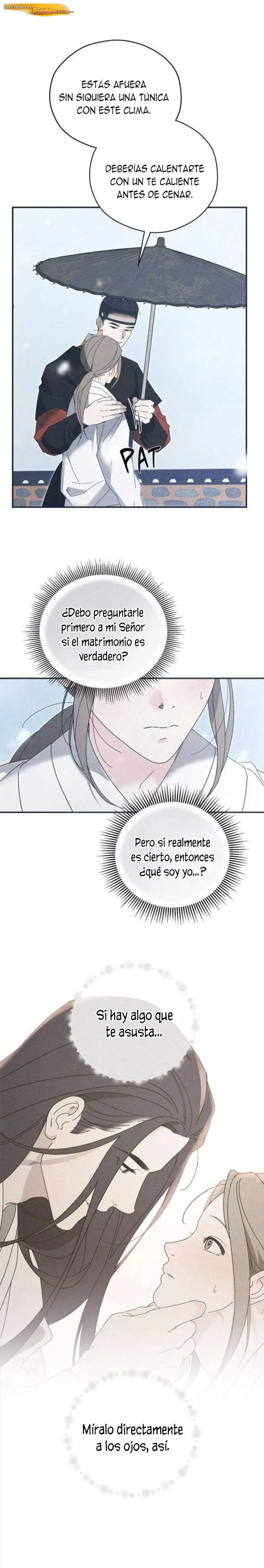 Significado de las flores de Pino blanco Capítulo 18 - página 26