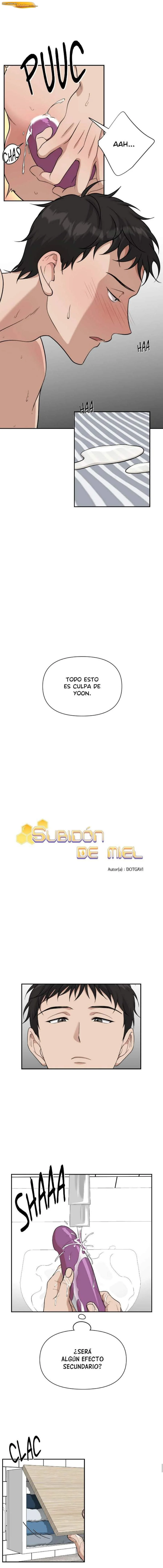 Subidón de miel Capítulo 32 - página 2