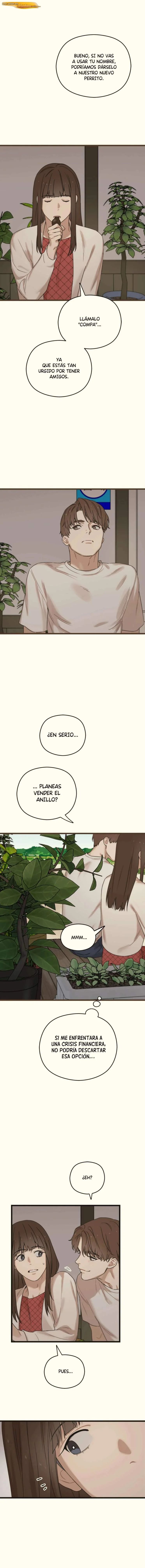 Volverte a ver Capítulo 15 - página 16