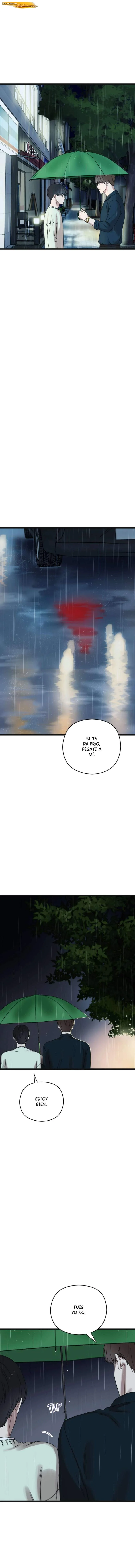 Volverte a ver Capítulo 19 - página 14